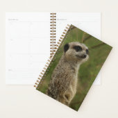 Meerkat Spiral Planner and Notebook (Display)