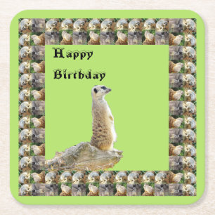 Meerkat Square Birthday Paper Onderzetters, Vierkante Kartonnen Onderzetter