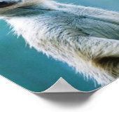 Meerkat Staredown - Poster (Hoek)