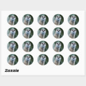 Meerkat Sticker (Vel)