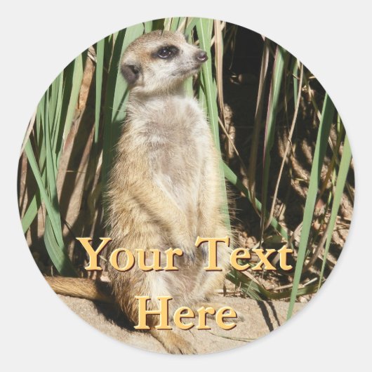 Meerkat Stickers (Voorkant)