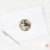 Meerkat Stickers (Envelop)
