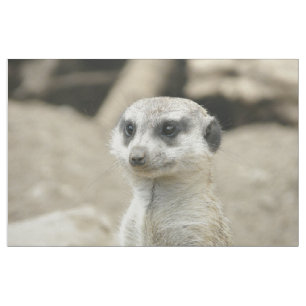 Meerkat Stof