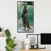 Meerkat Tall Poster (Thuiskantoor)