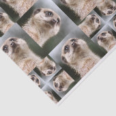 Meerkat Tissuepapier (Detail)