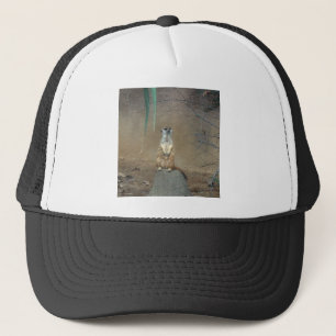 Meerkat Trucker Pet