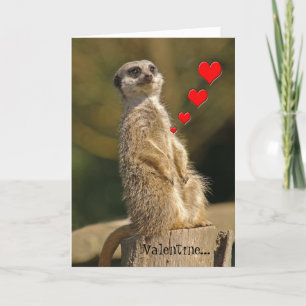 Meerkat Valentijn Kaart 007