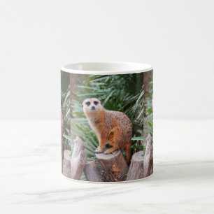 Meerkats animal koffiemok