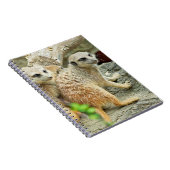 Meerkats - Carnet (Côté Droit)