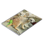 Meerkats - Carnet (Côté gauche)