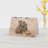 Meerkats dans une carte de voeux de petit groupe (Fleur jaune)