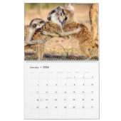 Meerkats de KMP - calendrier 2019 (Jan 2026)