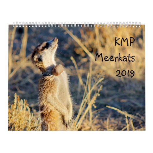 Meerkats de KMP - calendrier 2019 (Protection)