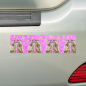Meerkats ik doe trouwdag, Bumpersticker (Op auto)