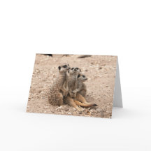 Meerkats in een Wenskaart van de Wirwar