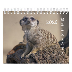 Meerkats Kalender 2025