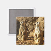 Meerkats Magneet (Voorkant / Achterkant)