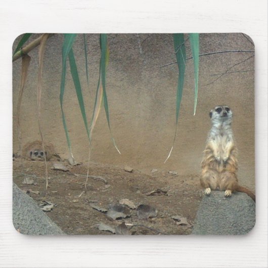 Meerkats Muismat (Voorkant)