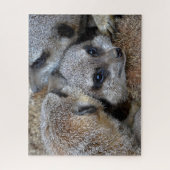 Meerkats Puzzle (Vertical)