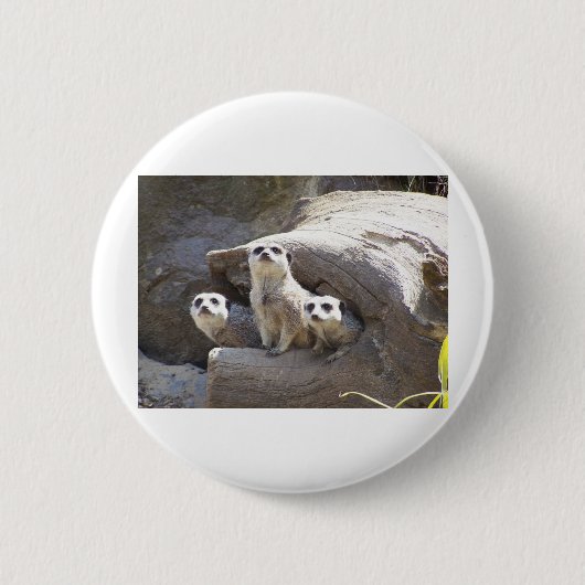 Meerkats Ronde Button 5,7 Cm (Voorkant)
