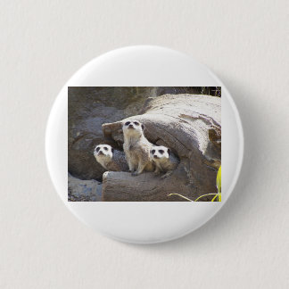 Meerkats Ronde Button 5,7 Cm