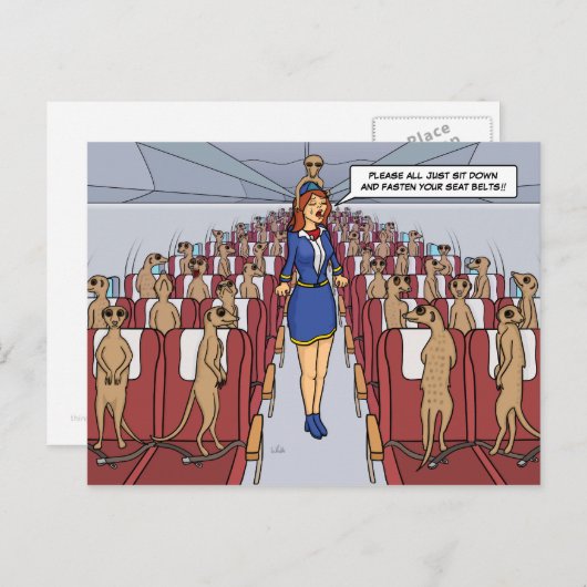 Meerkats sur une carte postale plate (Devant / Derrière)