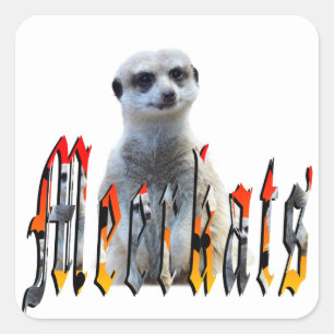 Meerkats: trots achter de naam staan vierkante sticker