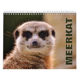 Meerkats Wall Agenda Kalender