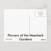 Meerkerk Gardens Briefkaart (Achterkant)