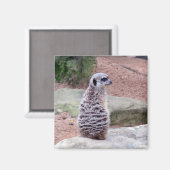 meerkeukenwacht magneet (Voorkant / Achterkant)