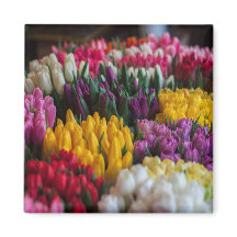Meerkleurige tulpen