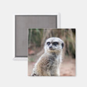 meertalige stallen magneet (Voorkant / Achterkant)