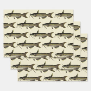  meerval Vist, Marine Life River Fish Inpakpapier Vel
