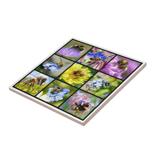 Meervoudige bijen en hommels tegeltje (Zijkant)