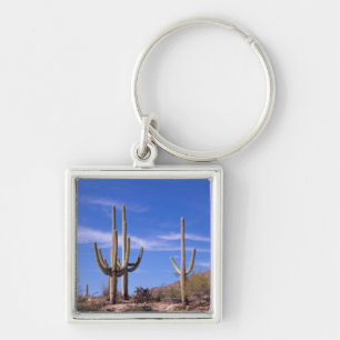 Meervoudige gewapende reuzencactus van Saguaro, Sa Sleutelhanger