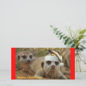 Meery Christmas Zaphod - Carte photo (Debout devant)