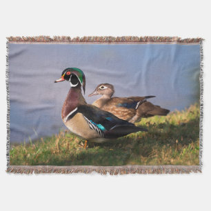 Meerzijde, Houten Eend Deken