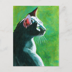 Meest populaire trekkers briefkaart