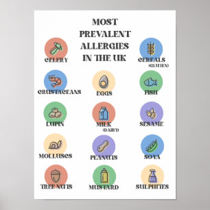 Meest voorkomende allergieën in het Verenigd Konin Poster