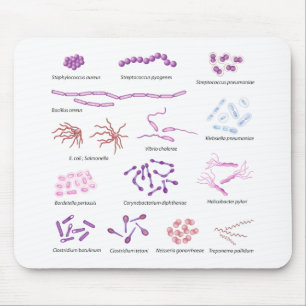 Meest voorkomende bacteriën die humaan Mousepad i Muismat