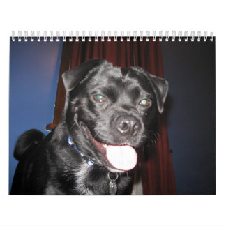 Meestal Bo Kalender