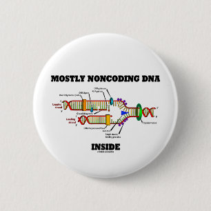 Meestal niet-coderend DNA binnenin (DNA-replicatie Ronde Button 5,7 Cm