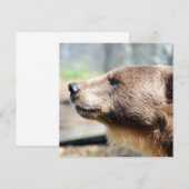 Meester Bruin (Voorkant / Achterkant)