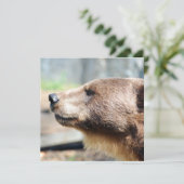 Meester Bruin (Staand voorkant)