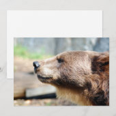 Meester Bruin (Voorkant / Achterkant)
