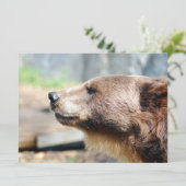 Meester Bruin (Staand voorkant)