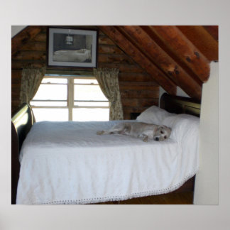 Meester's slaapkamer poster