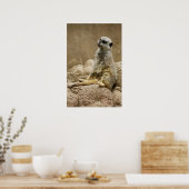 Meetkat Posterq Poster (Keuken)