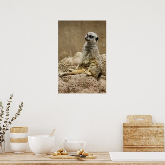 Meetkat Posterq Poster (Keuken)