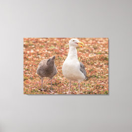 Meeuw en kuiken canvas afdruk